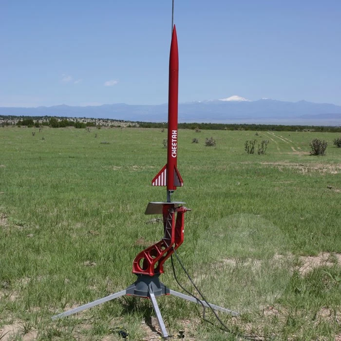 Cheetah 5 Cheetah - Image 3