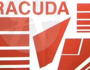 Barracuda 6 Barracuda - Image 4