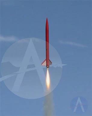 Cheetah 4 Cheetah - Image 2