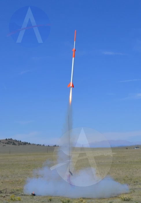 Piston Stager 19 Piston Stager - Image 17