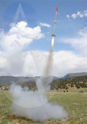 Barracuda 8 Barracuda - Image 6