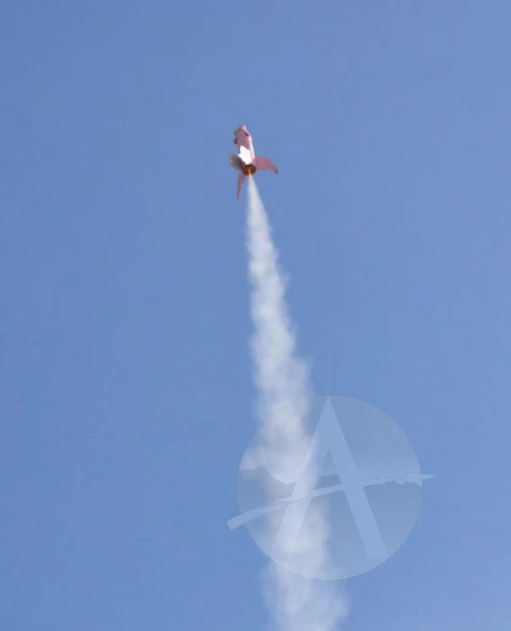 Pigasus 7 Pigasus - Image 5