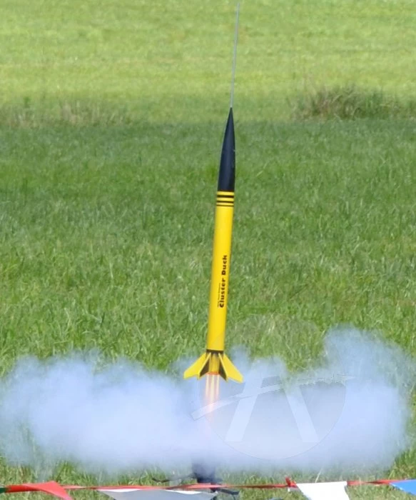 Cluster Duck 8 Cluster Duck - Image 6